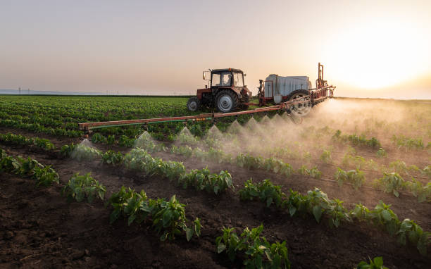 Pest Prevention Services in Louisburg, NC