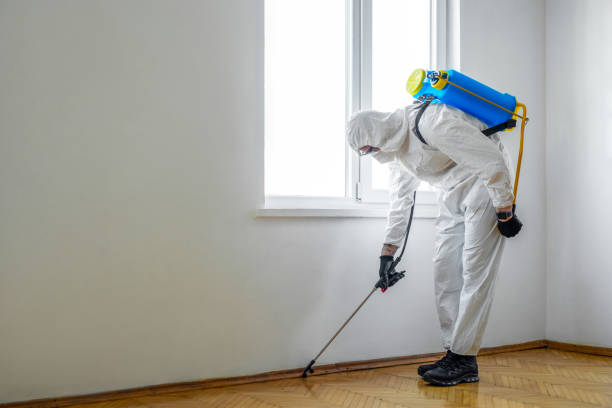Best Exterminator Services  in Louisburg, NC