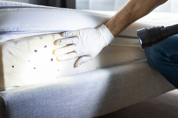 Best Best Pest Control Near Me  in Louisburg, NC