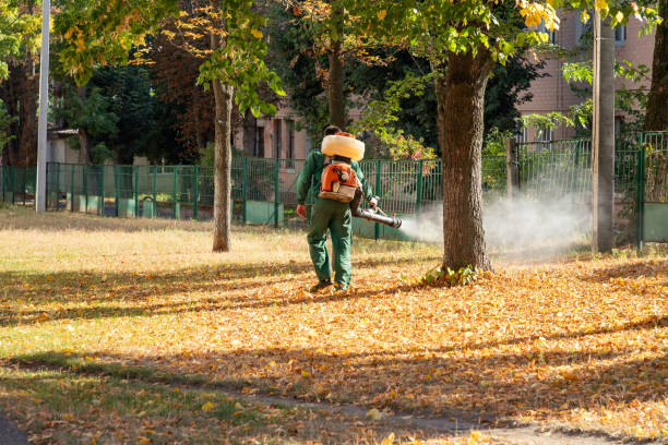 Best Rat Extermination Near Me  in Louisburg, NC